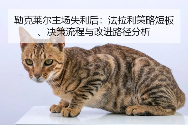 勒克莱尔主场失利后：法拉利策略短板、决策流程与改进路径分析
